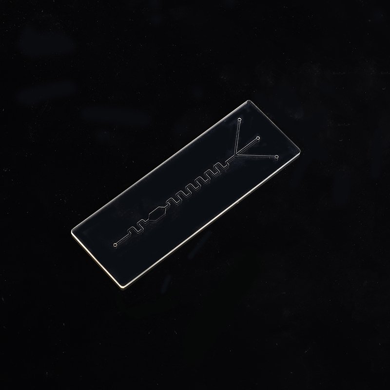 Microfluidic Chip