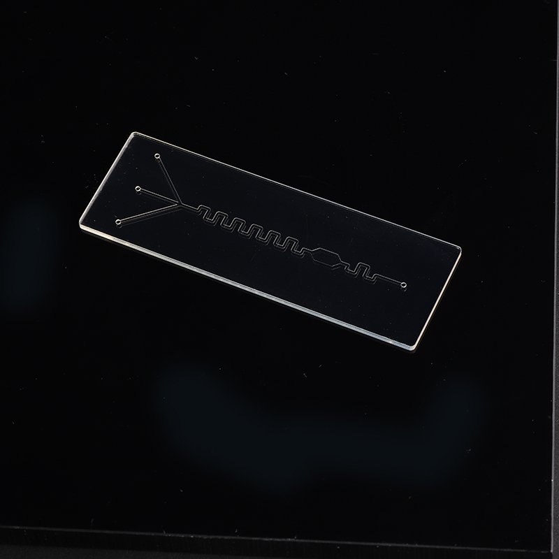 Microfluidic Chip