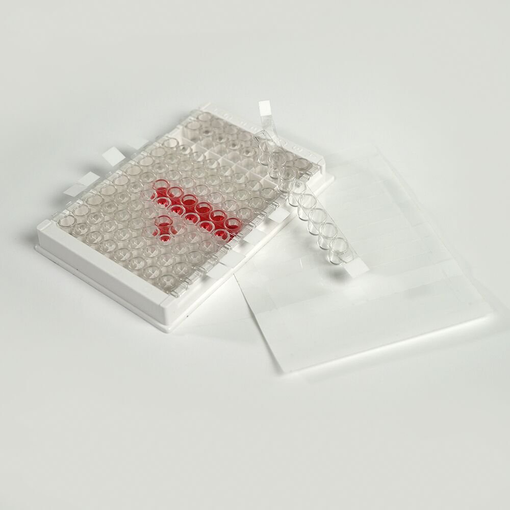 Detachable PCR Pressure Sealing Film1