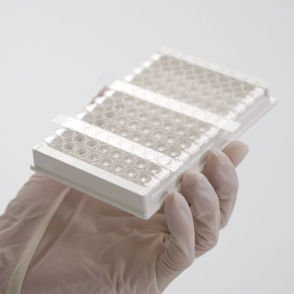 Detachable PCR Pressure Sealing Film3