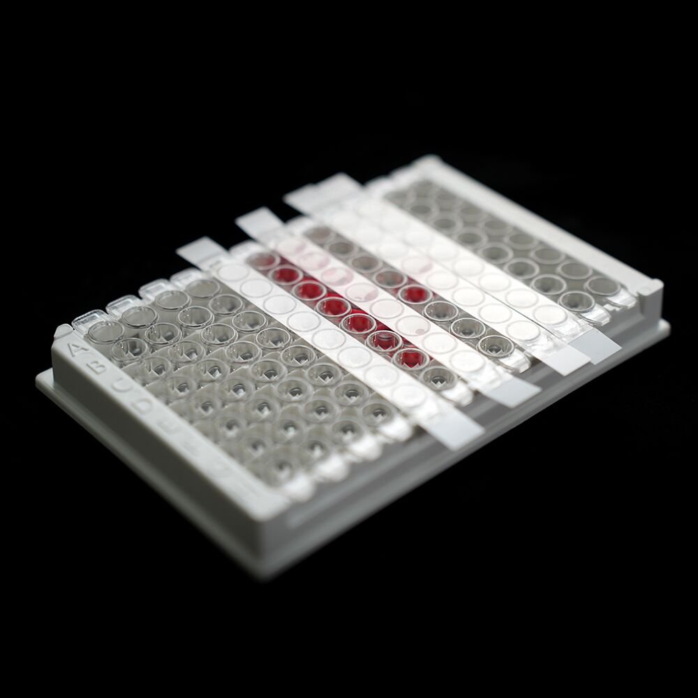 Detachable PCR Pressure Sealing Film4